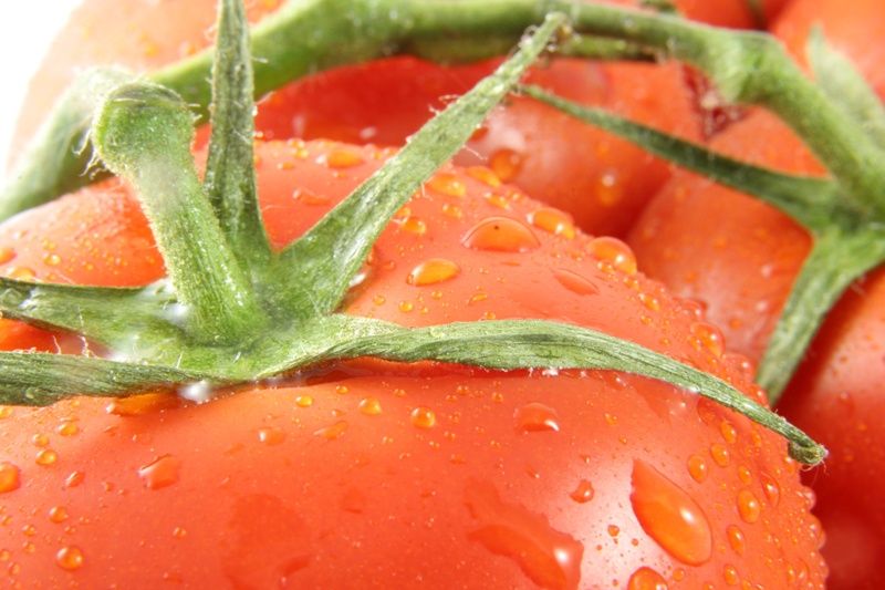 close tomato