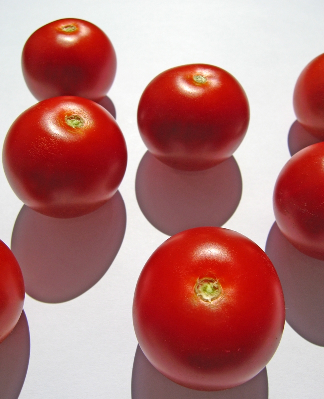 tomatoes IMG 0077 