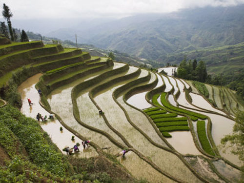 Las Terrazas De Cultivo En China Eljardinonline Es